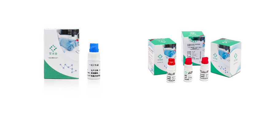 为什么需要切片扫描仪中石油（宝石花集团）副总裁—赵总莅临艾托金生物医药（苏州）有限公司考察_https://www.jmylbn.com_新闻资讯_第20张